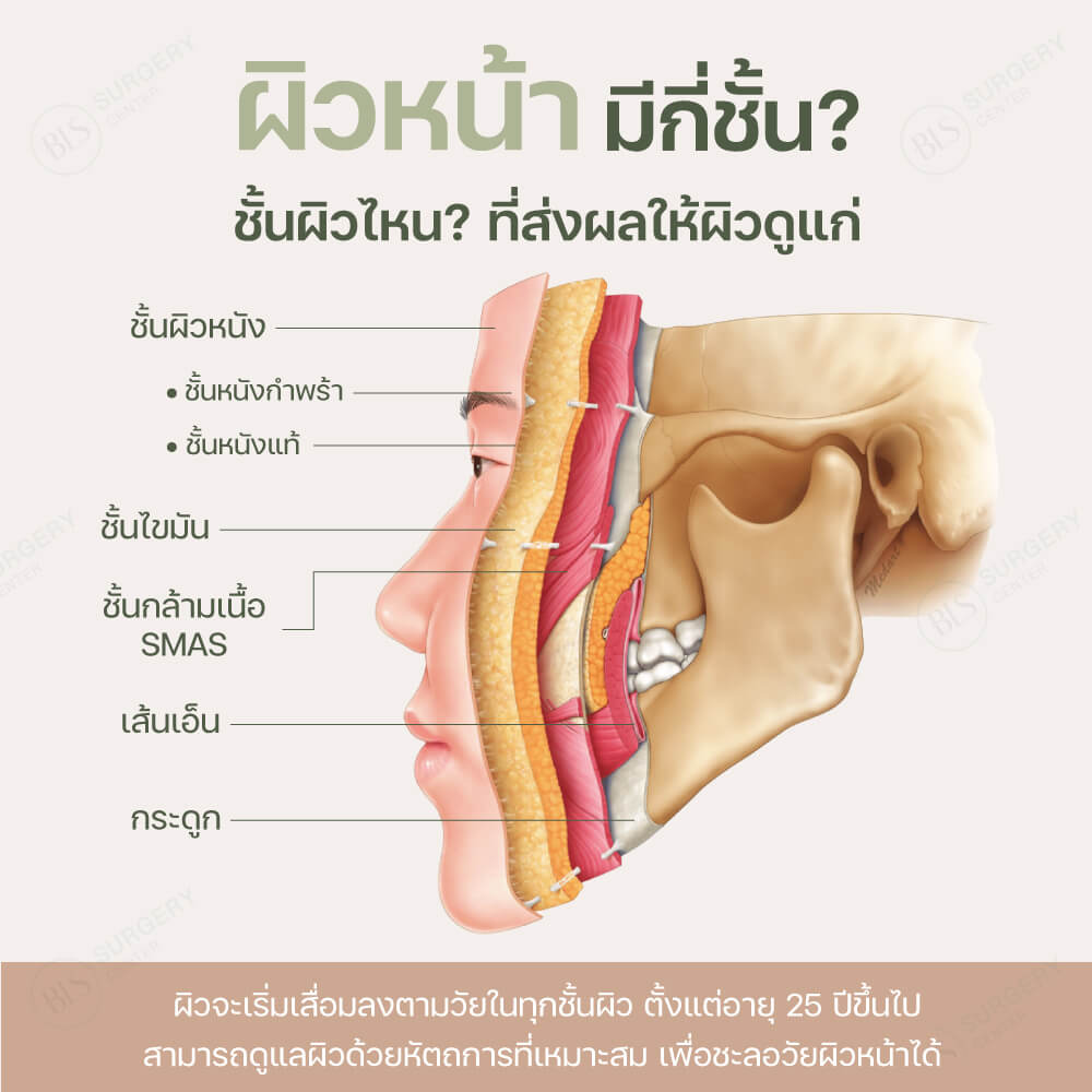 ผิวหน้ามีกี่ชั้น? ชั้นผิวไหน? ที่ส่งผลให้ผิวดูแก่